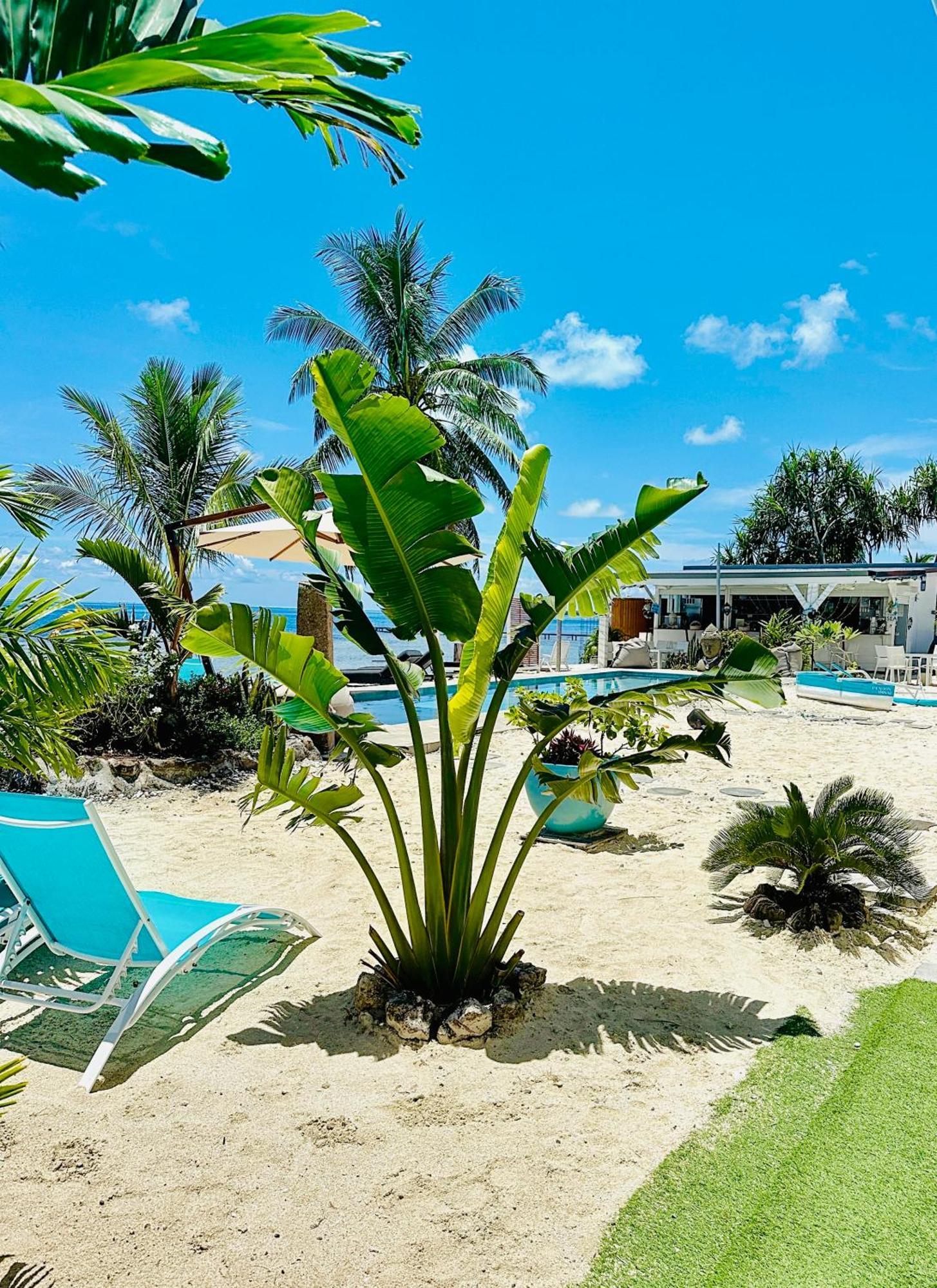 Pension Irivai Appartement Puatou 1 Chambre Bord De Mer Uturoa Exteriör bild